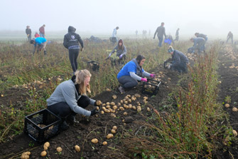 aes-life-volunteers